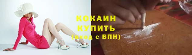 spice Алзамай